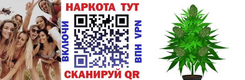 МАРИХУАНА Бородино
