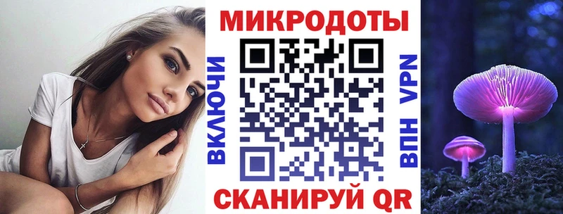 наркотики  Бородино  Галлюциногенные грибы Psilocybine cubensis 